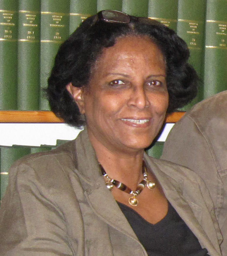 Professor Asma El Sony